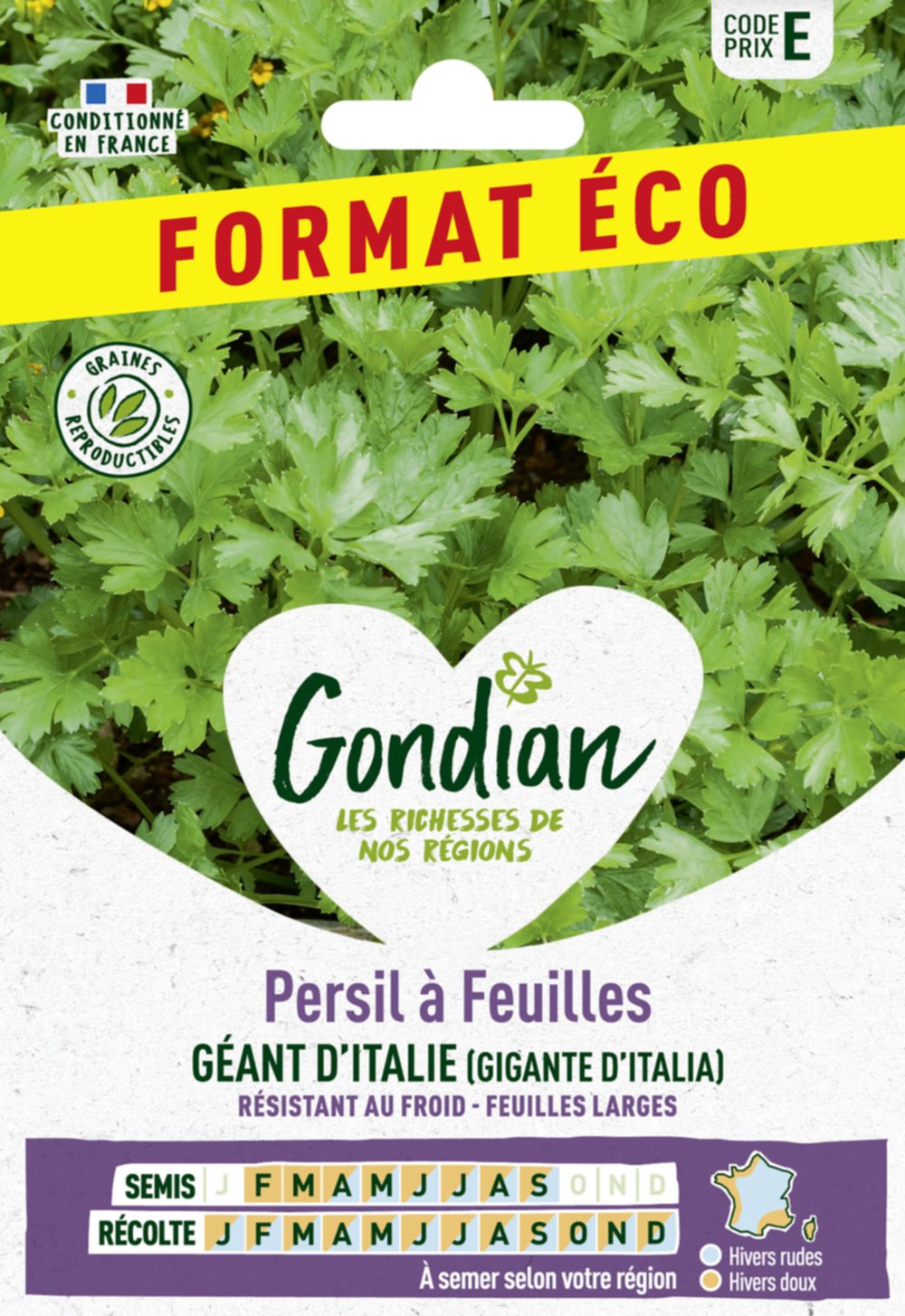 Persil à feuilles Gigante d'Italia (Géant d'Italie) - GONDIAN