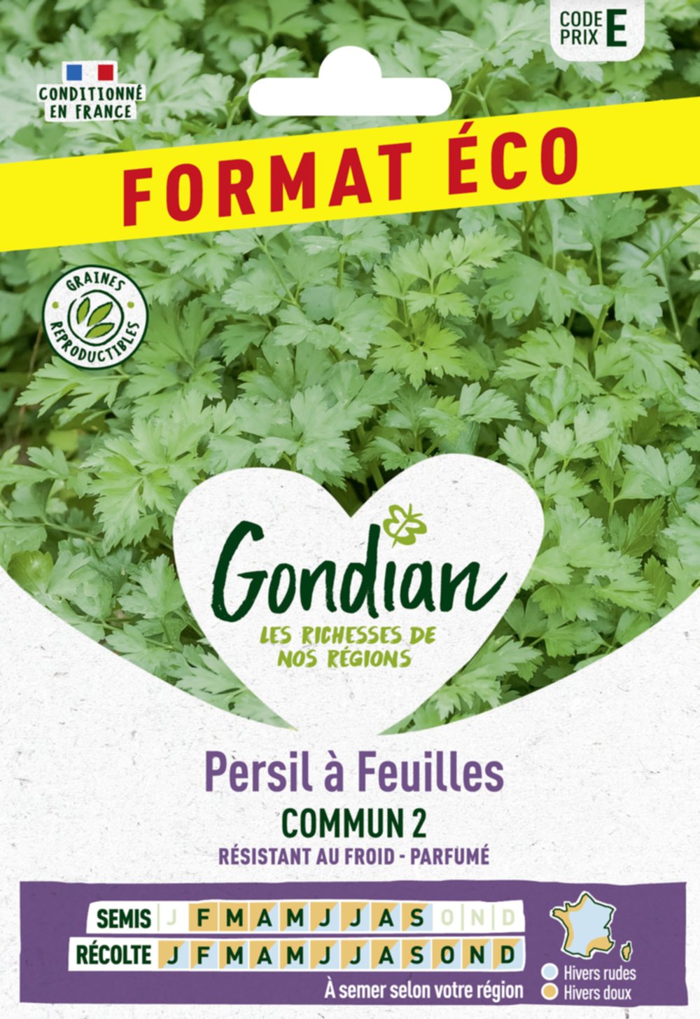 Persil à feuilles Commun 2 - GONDIAN