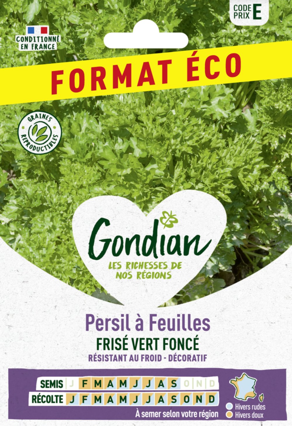 Persil à feuilles Frisé Vert Foncé - GONDIAN