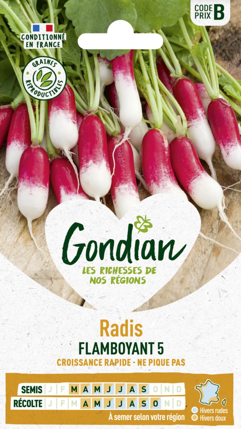 Radis Flamboyant 5 - GONDIAN