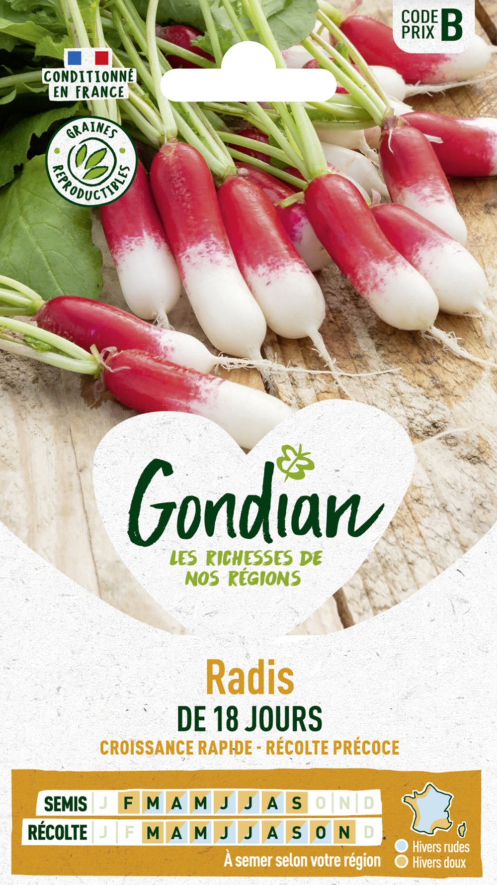 Radis de 18 Jours - GONDIAN