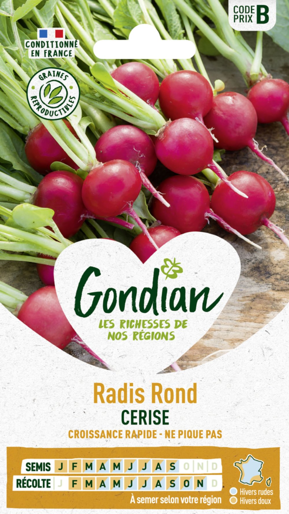 Radis Cerise - GONDIAN