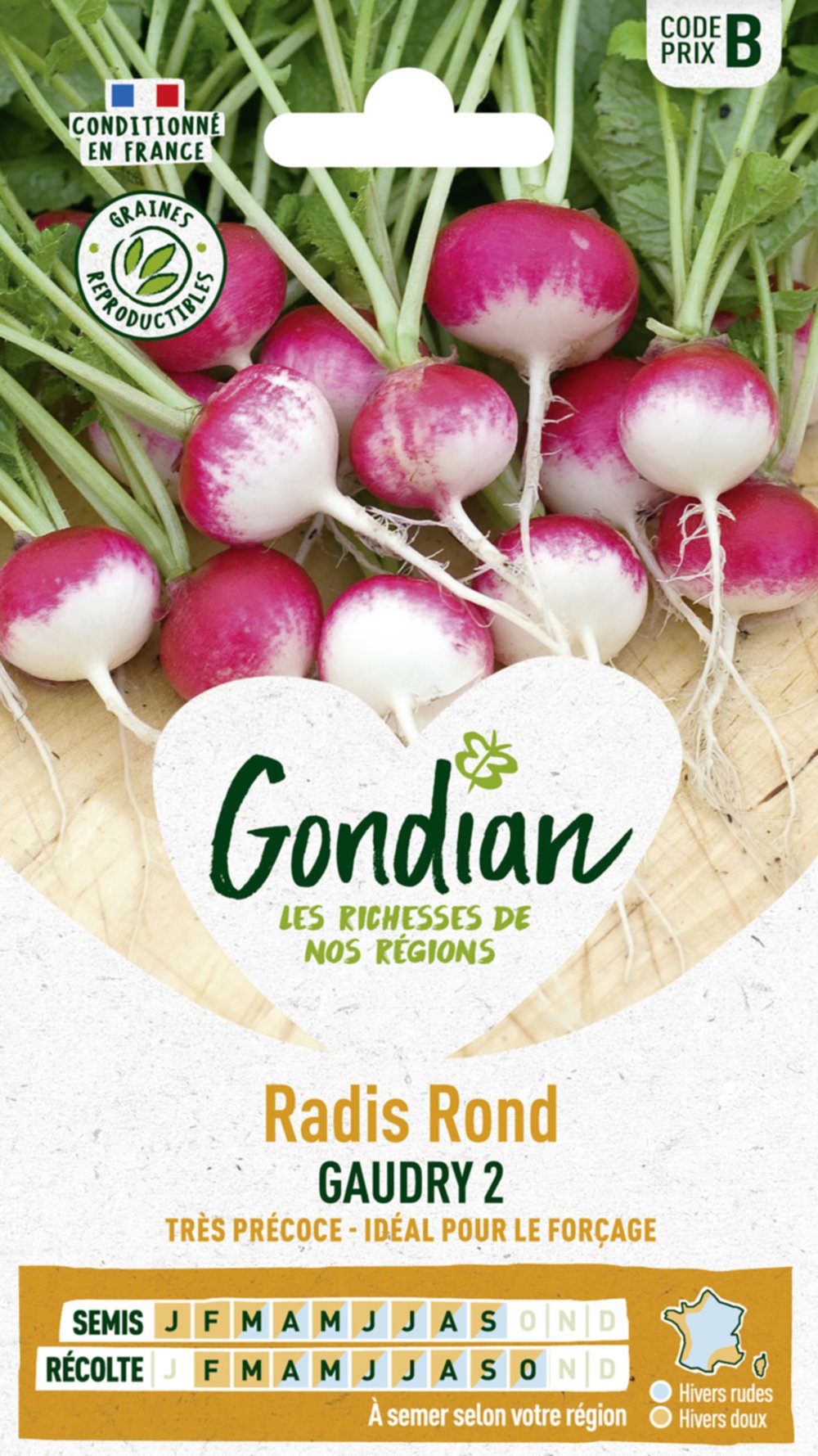 Radis Gaudry 2 - GONDIAN