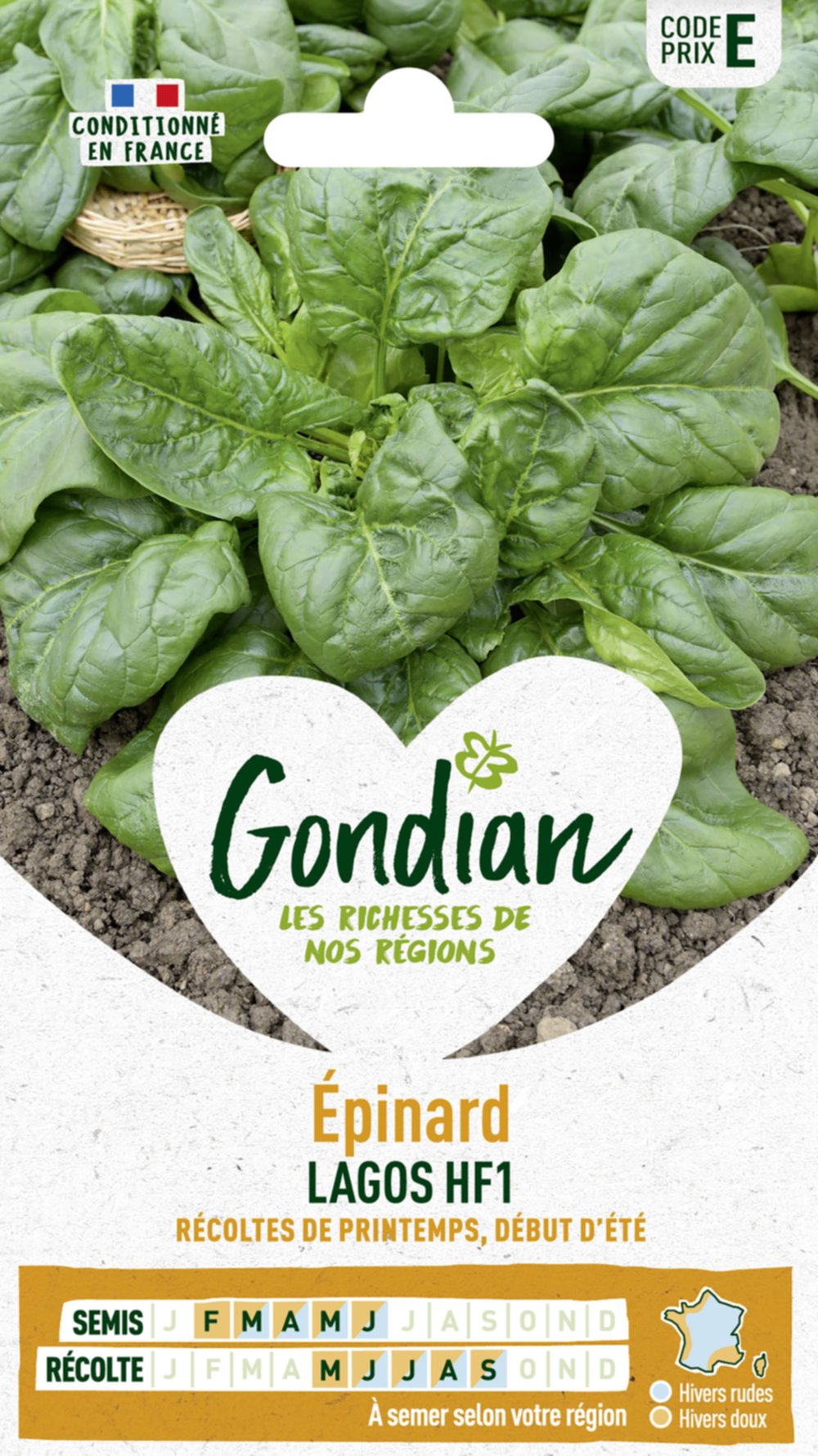 Epinard Lagos HF1 - GONDIAN