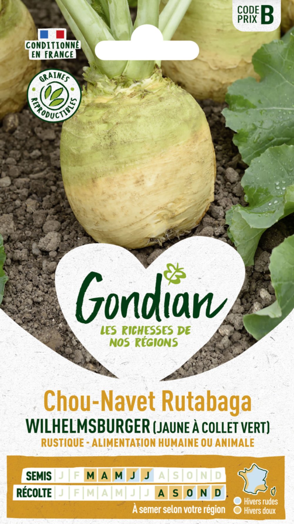 Rutabaga (Chou-Navet) Wilhelmsburger (Jaune à Collet Vert) - GONDIAN