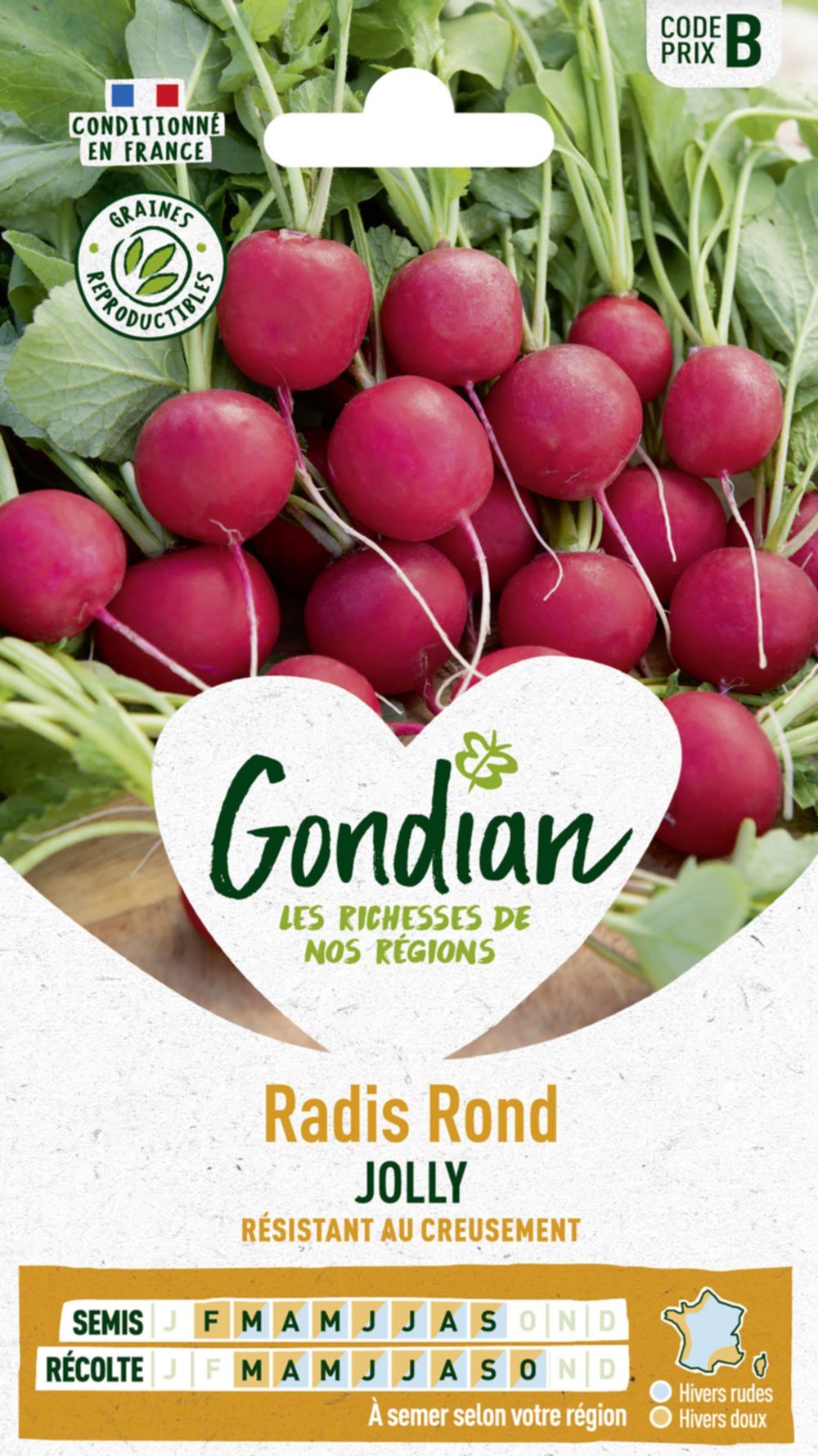 Radis Jolly - GONDIAN