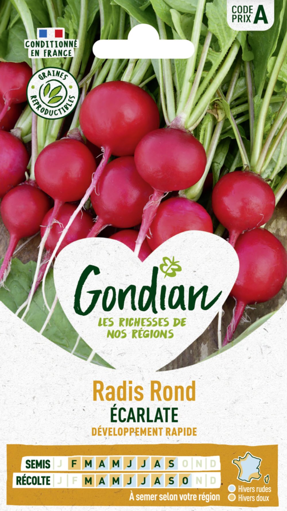 Radis Rond Ecarlate race Loto - GONDIAN