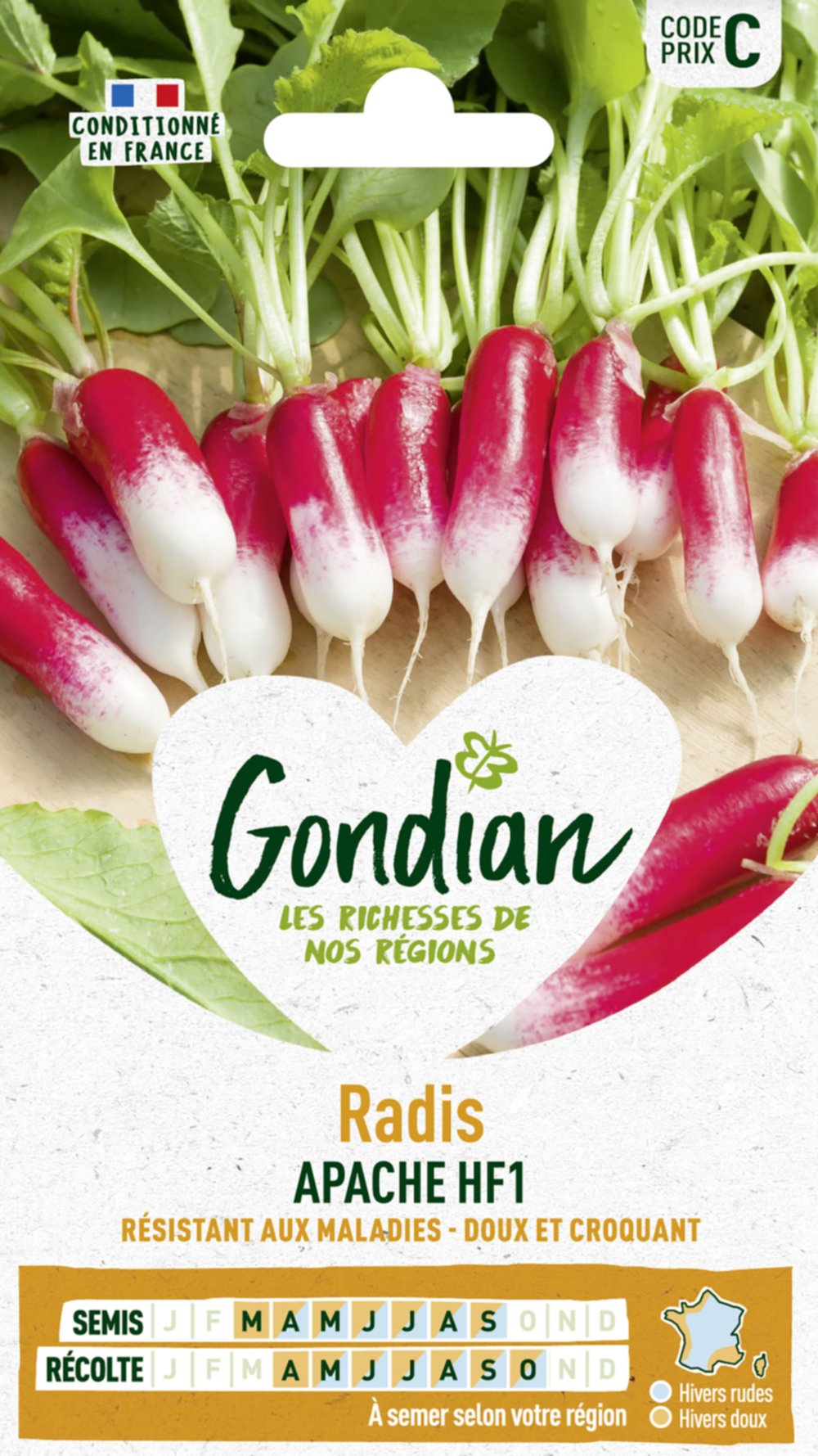 Radis Apache HF1 - GONDIAN