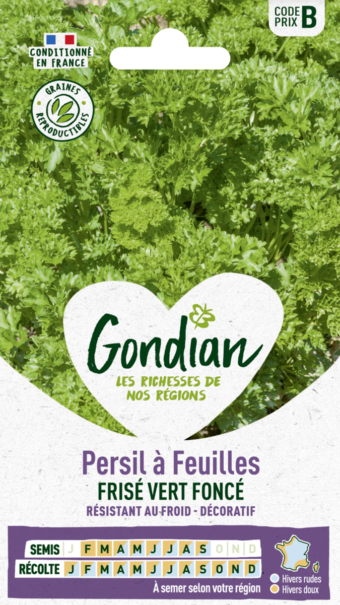 Persil à feuilles Frisé Vert Foncé - GONDIAN