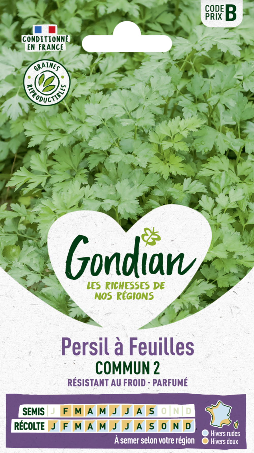 Persil à feuilles Commun 2 - GONDIAN