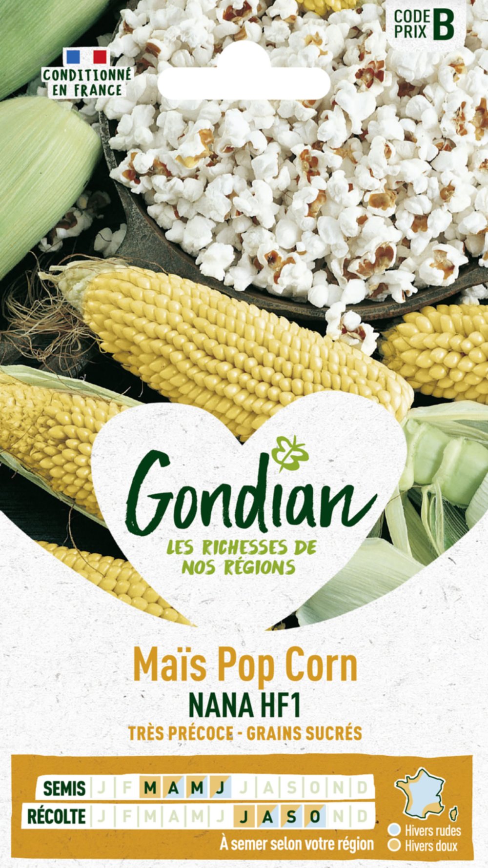 Oignon Pop Corn Nana HF1 - GONDIAN