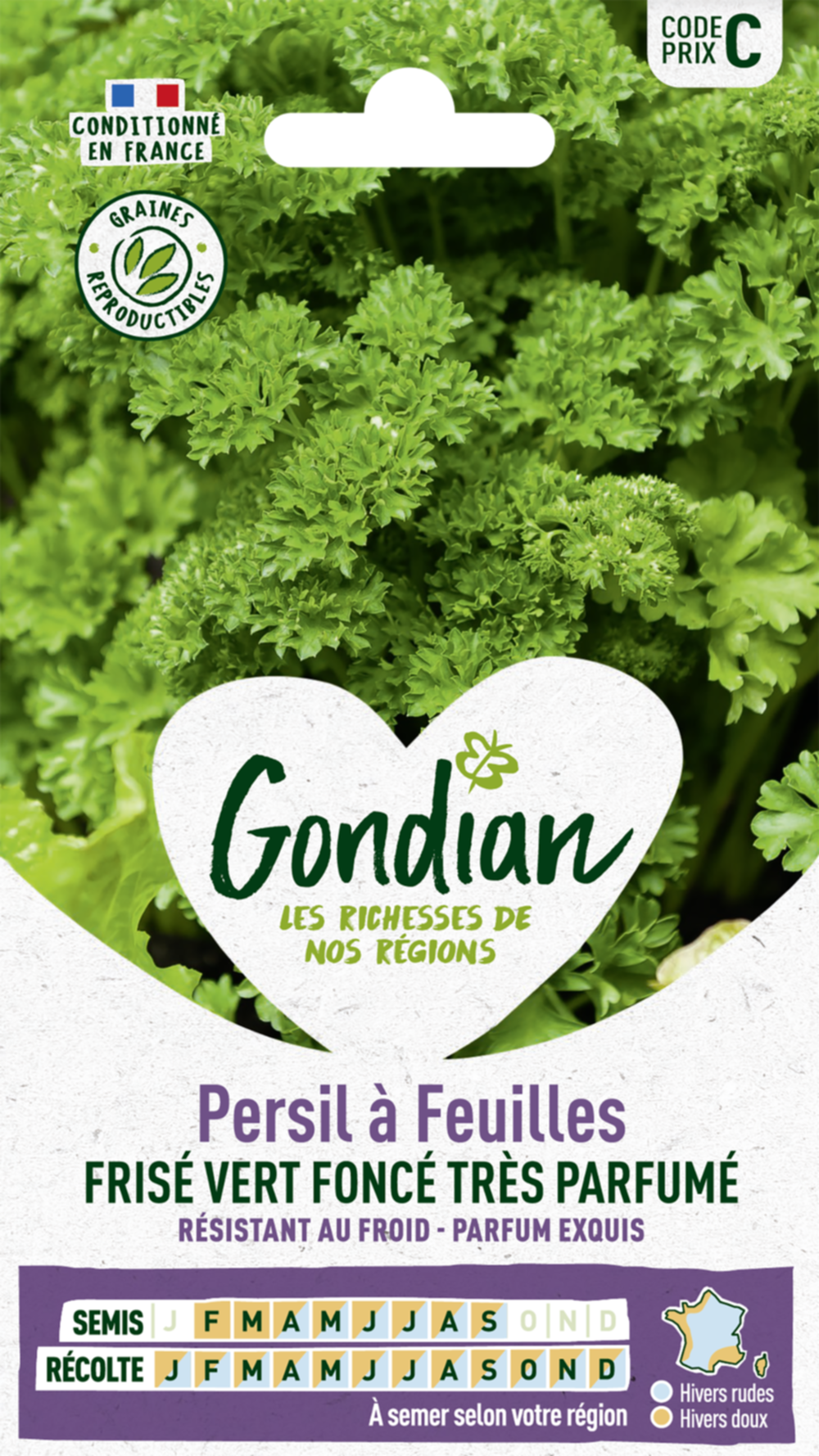 Persil à feuilles Frisé Vert Foncé race Robust - GONDIAN