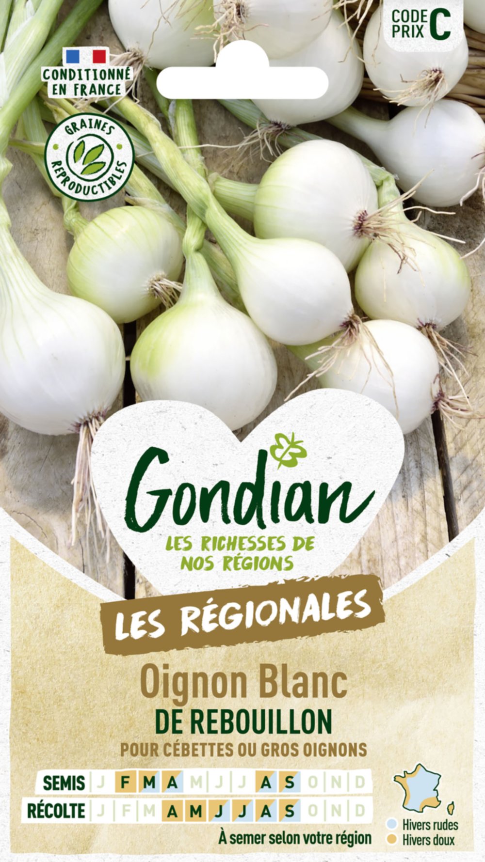 Oignon de Rebouillon - GONDIAN