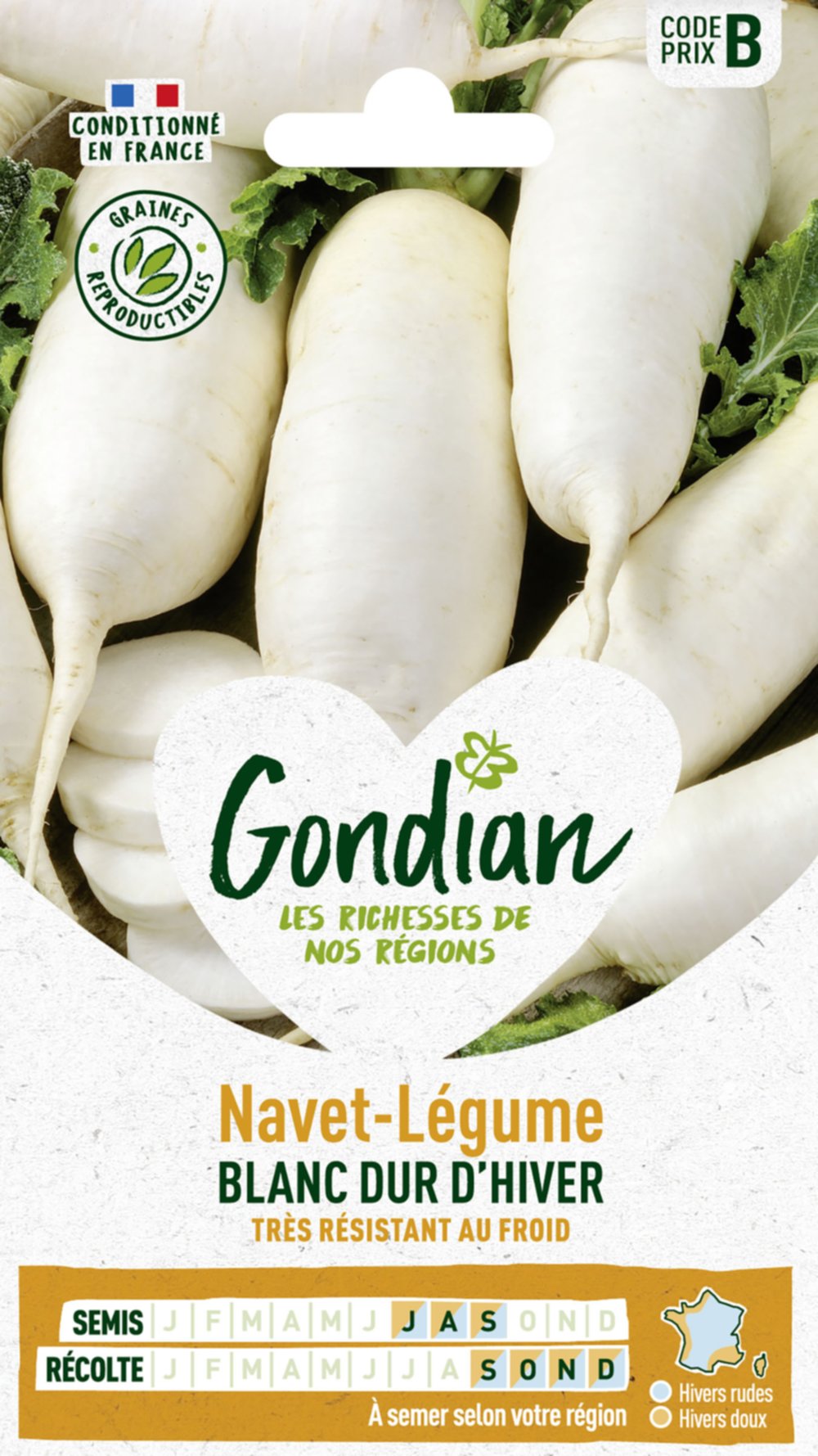 Navet-Légume Blanc Dur d'Hiver - GONDIAN