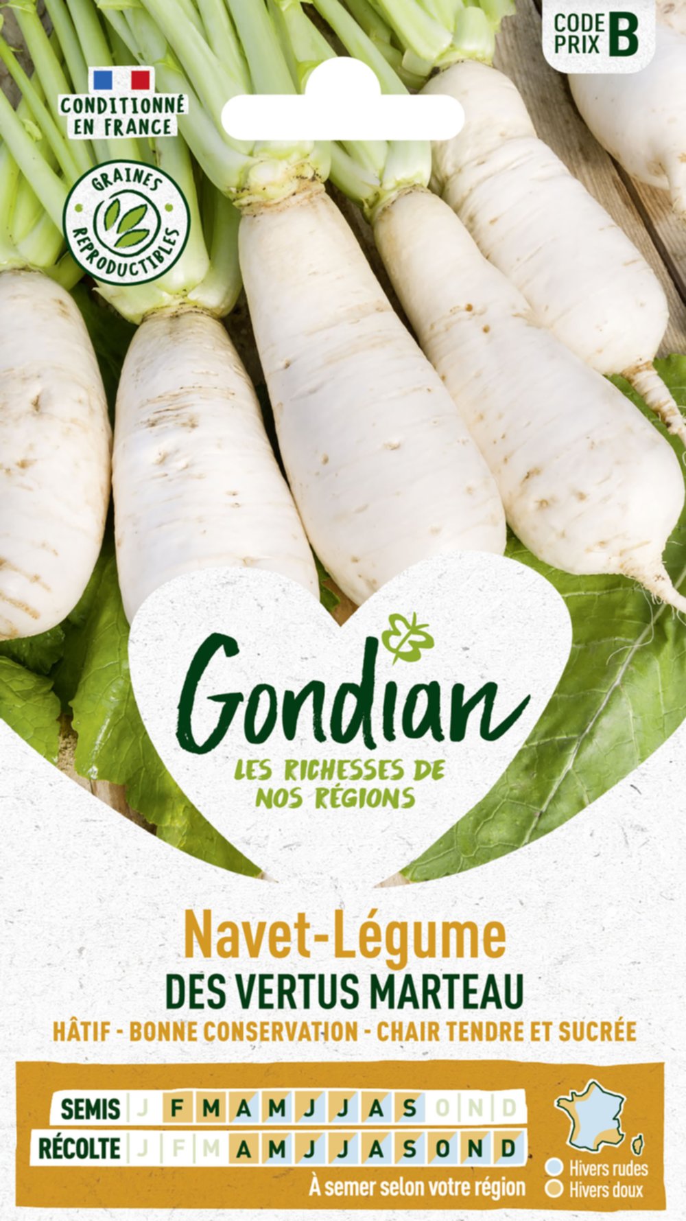 Navet-Légume des Vertus Marteau - GONDIAN