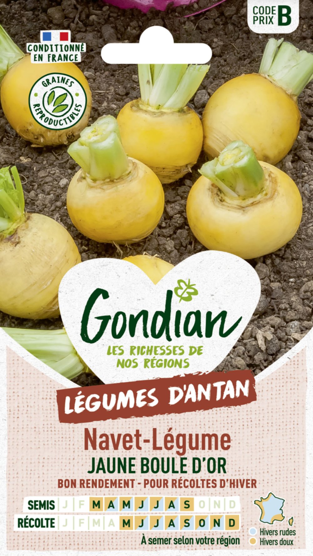 Navet-Légume Jaune Boule d'Or - GONDIAN