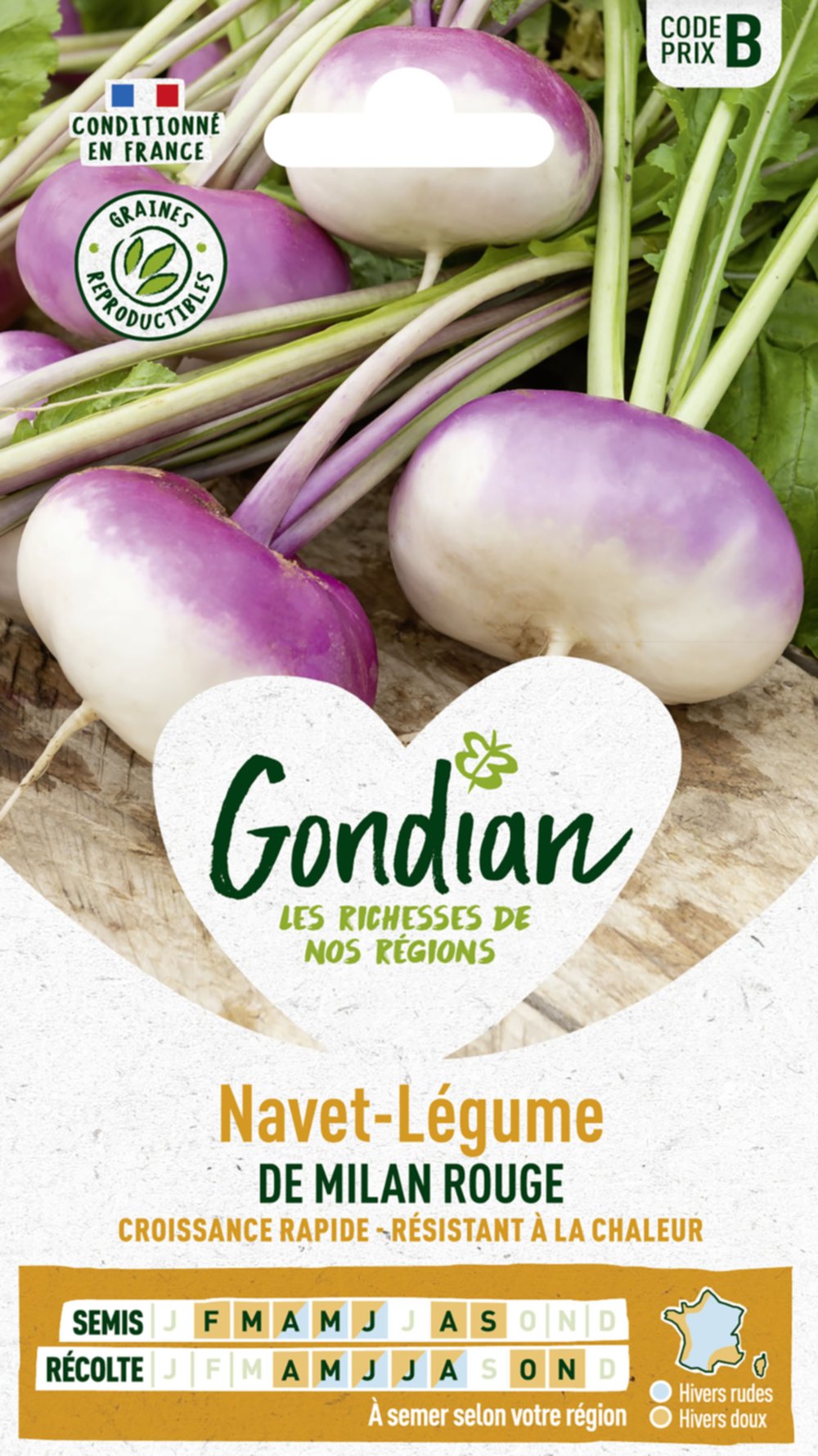 Navet-Légume de Milan Rouge Extra-Hâtif à Châssis - GONDIAN