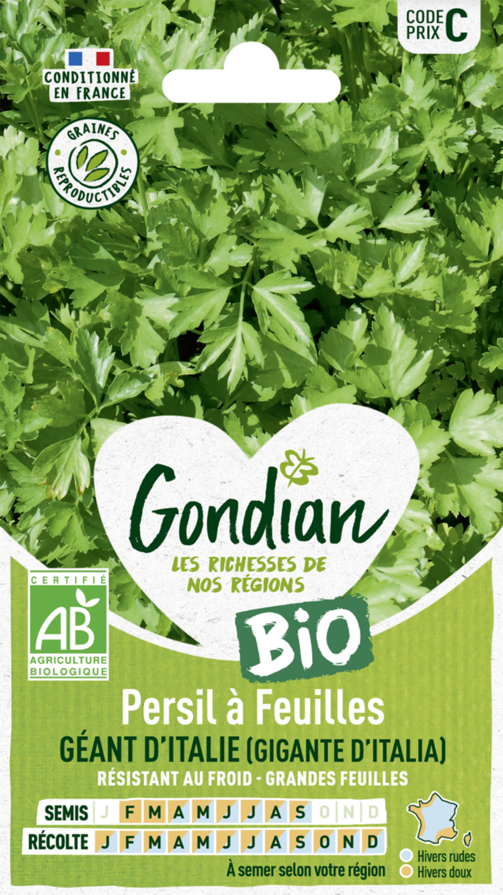 Persil à feuilles Gigante d'Italia (Géant d'Italie) Bio - GONDIAN