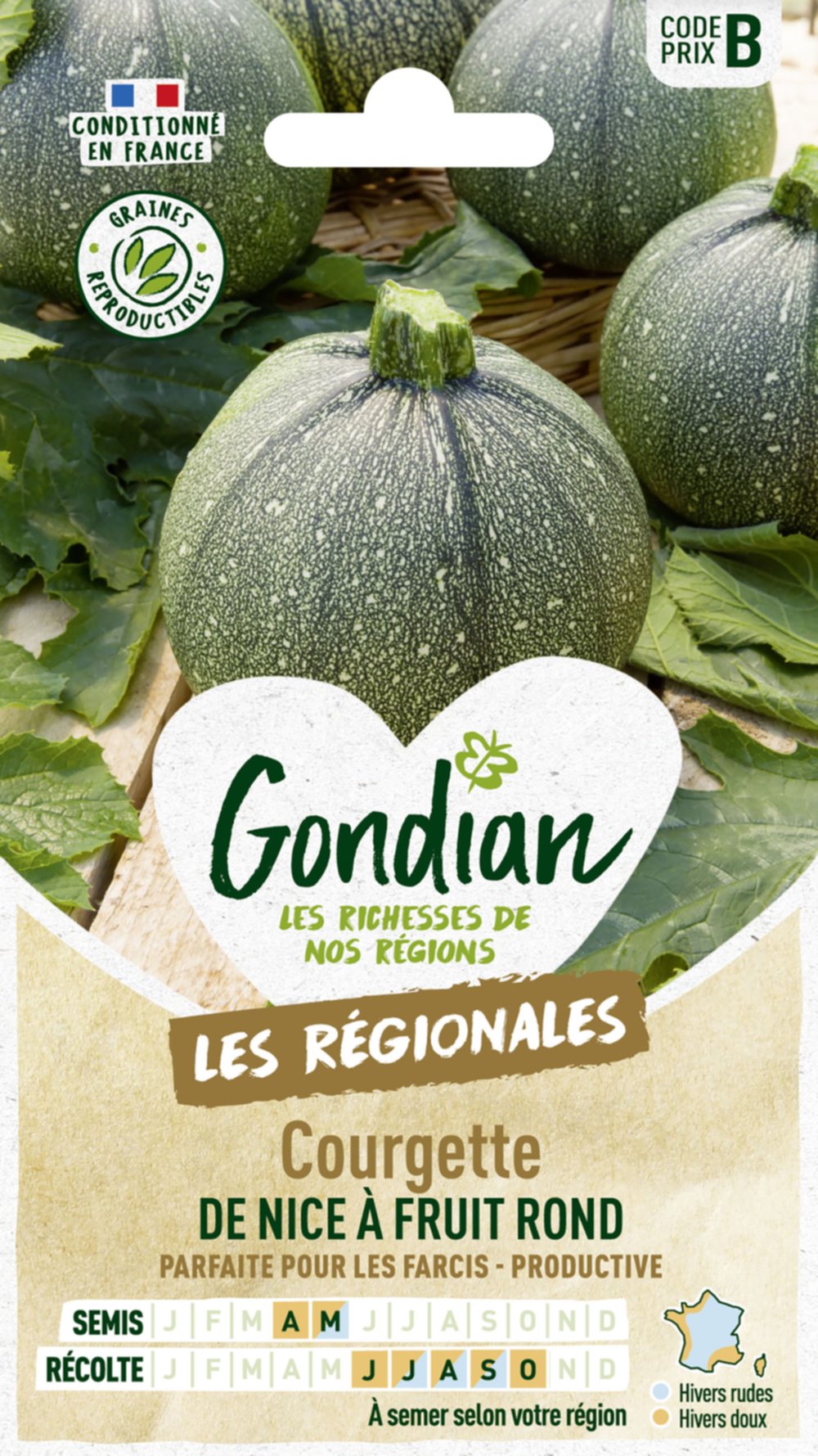 Courgette de Nice à Fruit Rond - GONDIAN