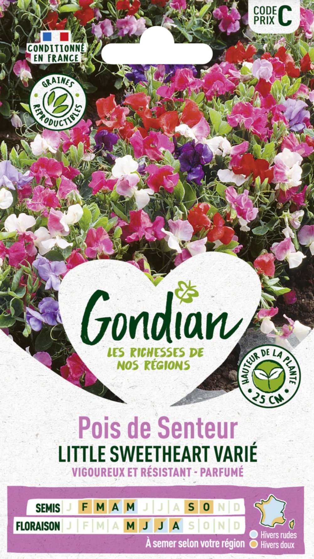 Pois de Senteur Little Sweetheart - GONDIAN