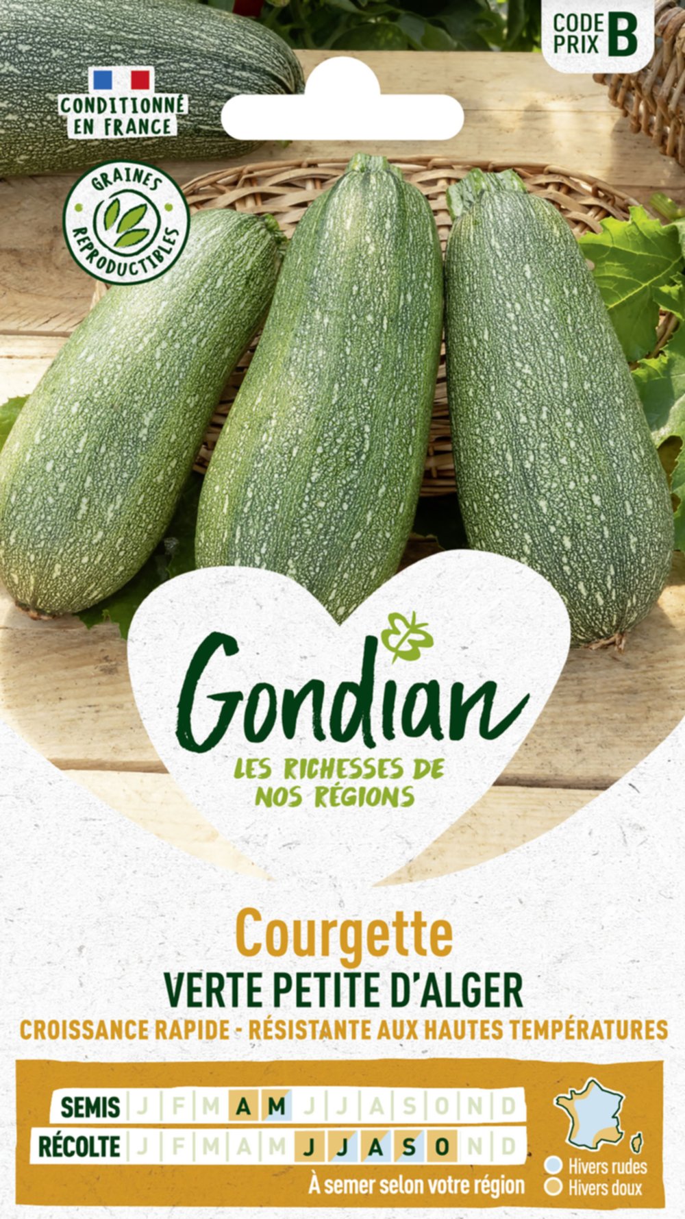 Courgette Verte Petite d'Alger - GONDIAN