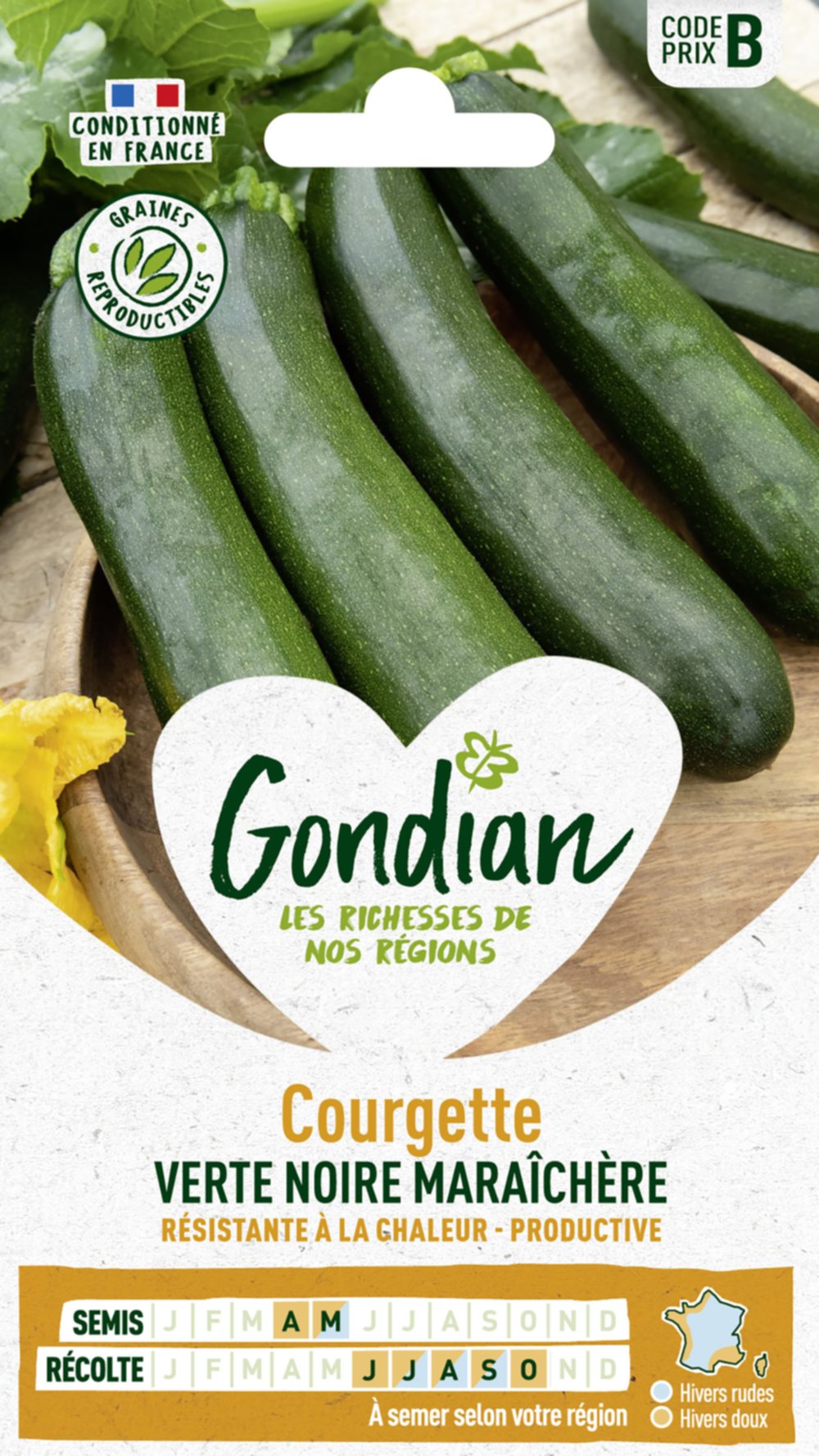 Courgette Verte Noire Maraîchère - GONDIAN