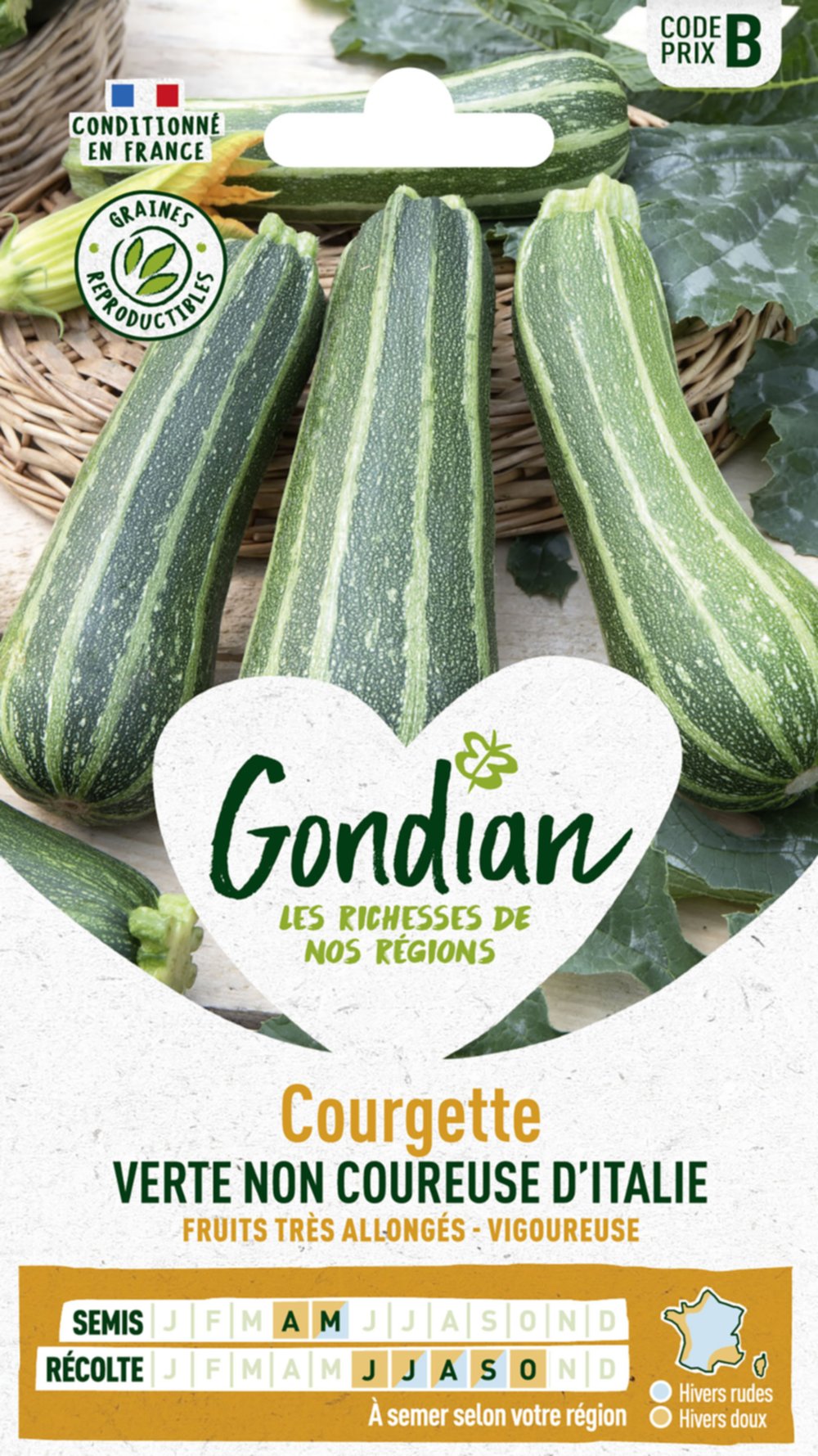 Courgette Verte Non Coureuse d'Italie - GONDIAN