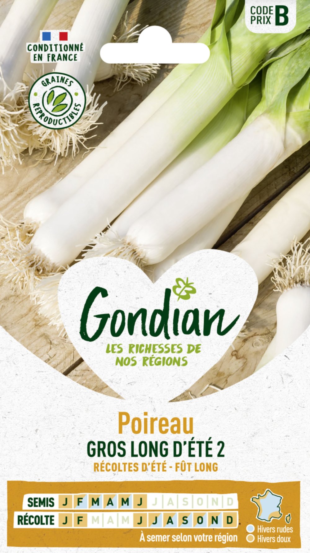 Poireau Gros Long d'Eté 2 - GONDIAN