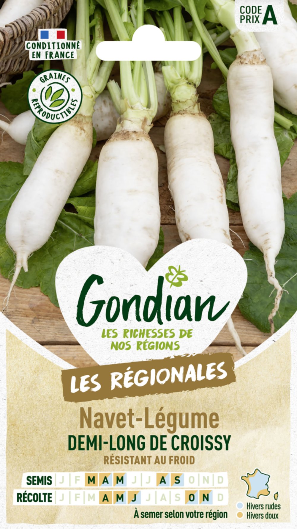 Navet-Légume Demi-Long de Croissy - GONDIAN