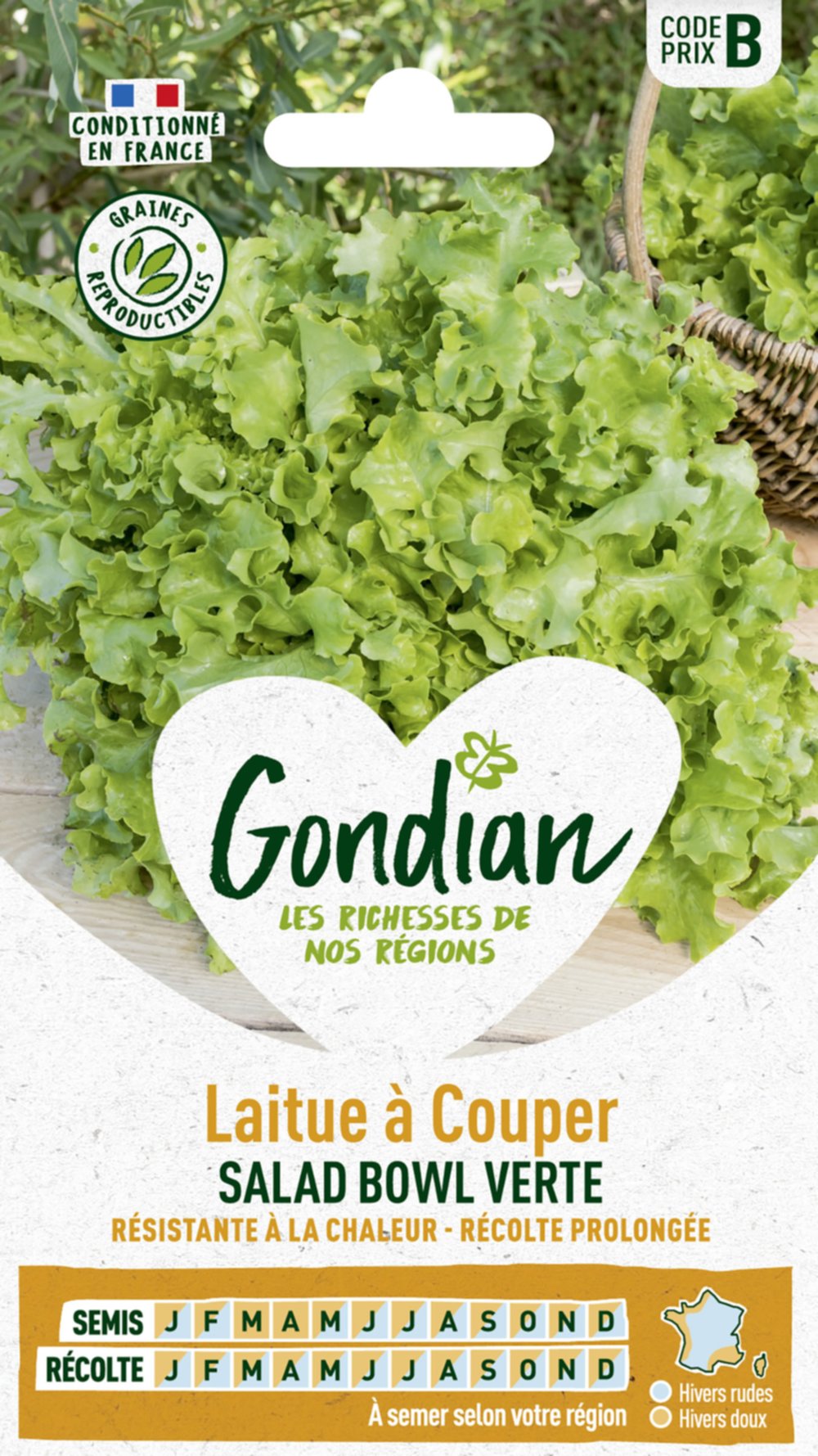 Laitue Salad Bowl Verte - GONDIAN