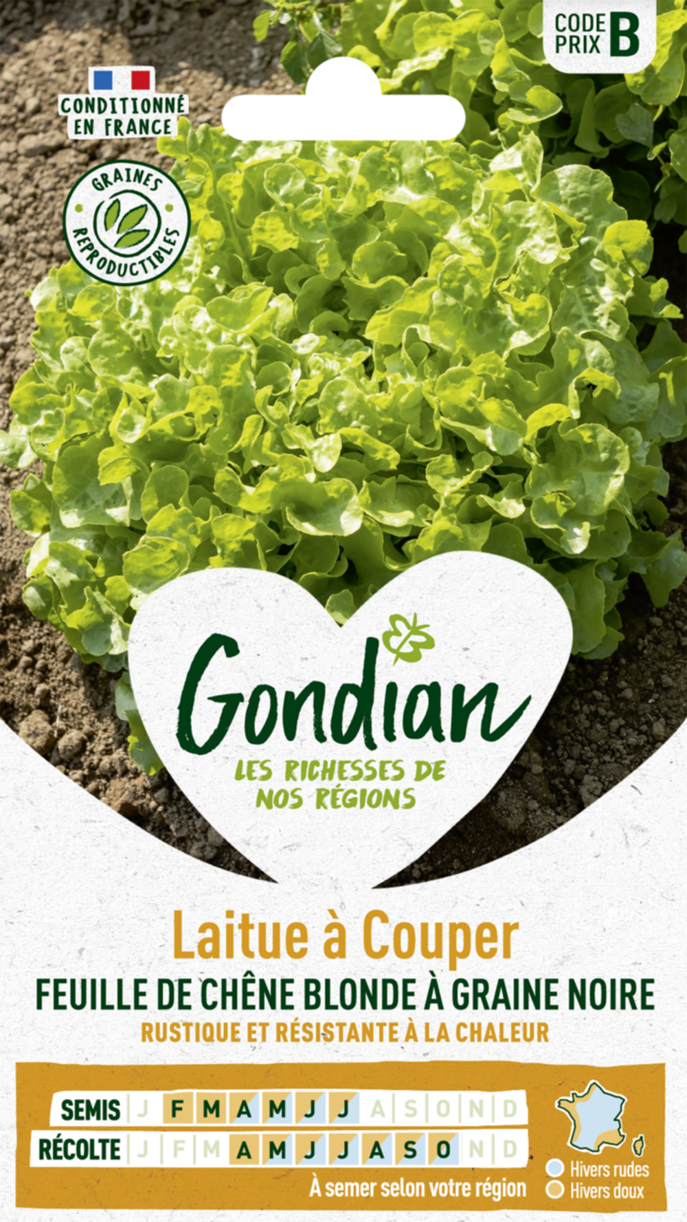 Laitue Feuille de Chêne Blonde à Graine noire - GONDIAN