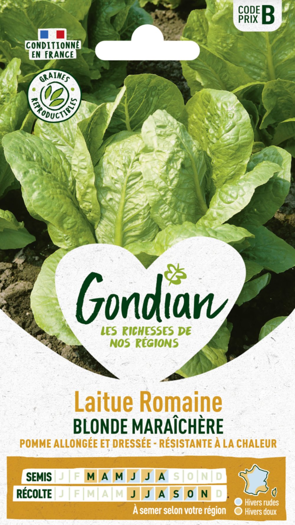 Laitue Blonde Maraîchère - GONDIAN