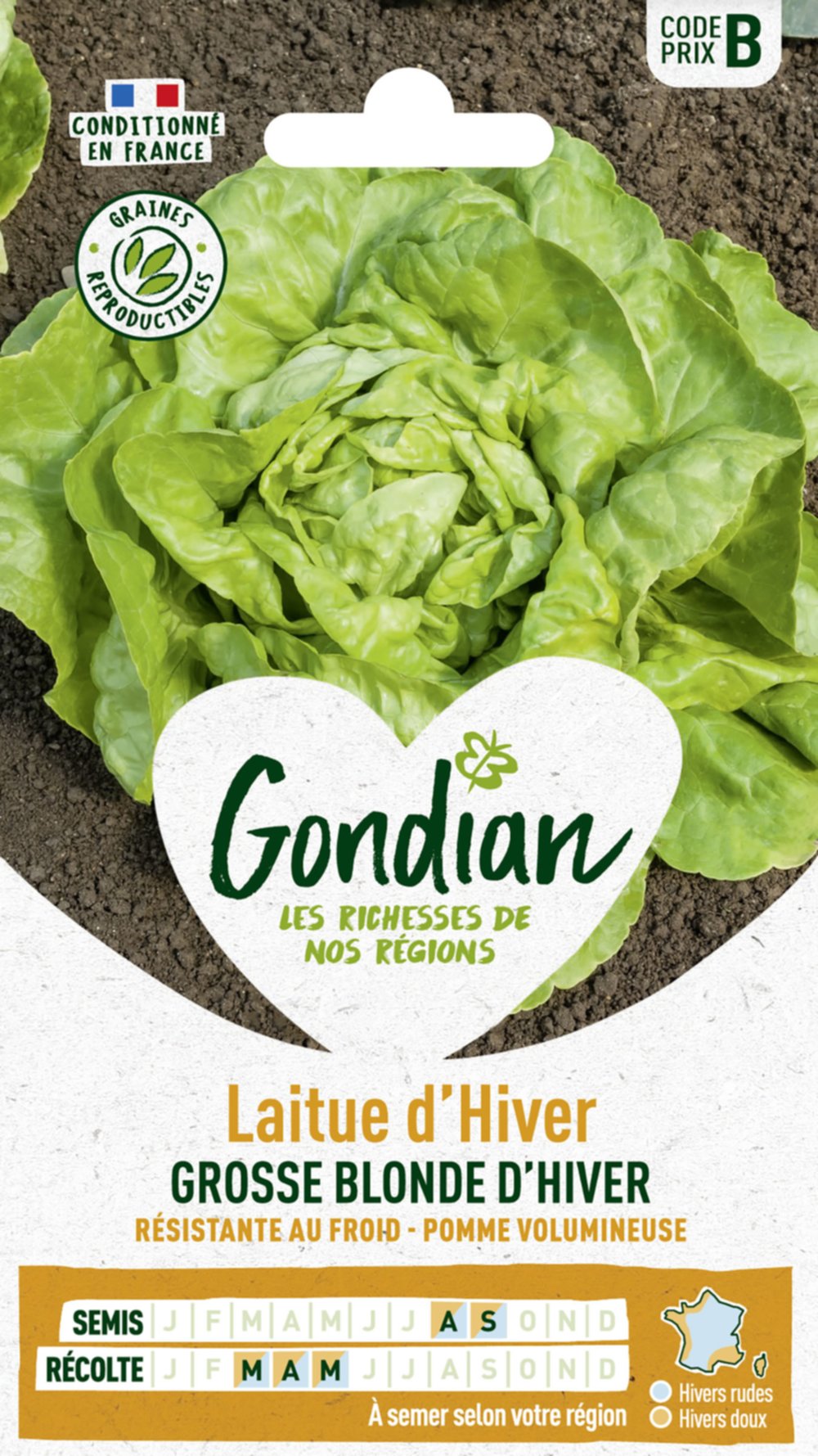 Laitue Grosse Blonde d'Hiver - GONDIAN