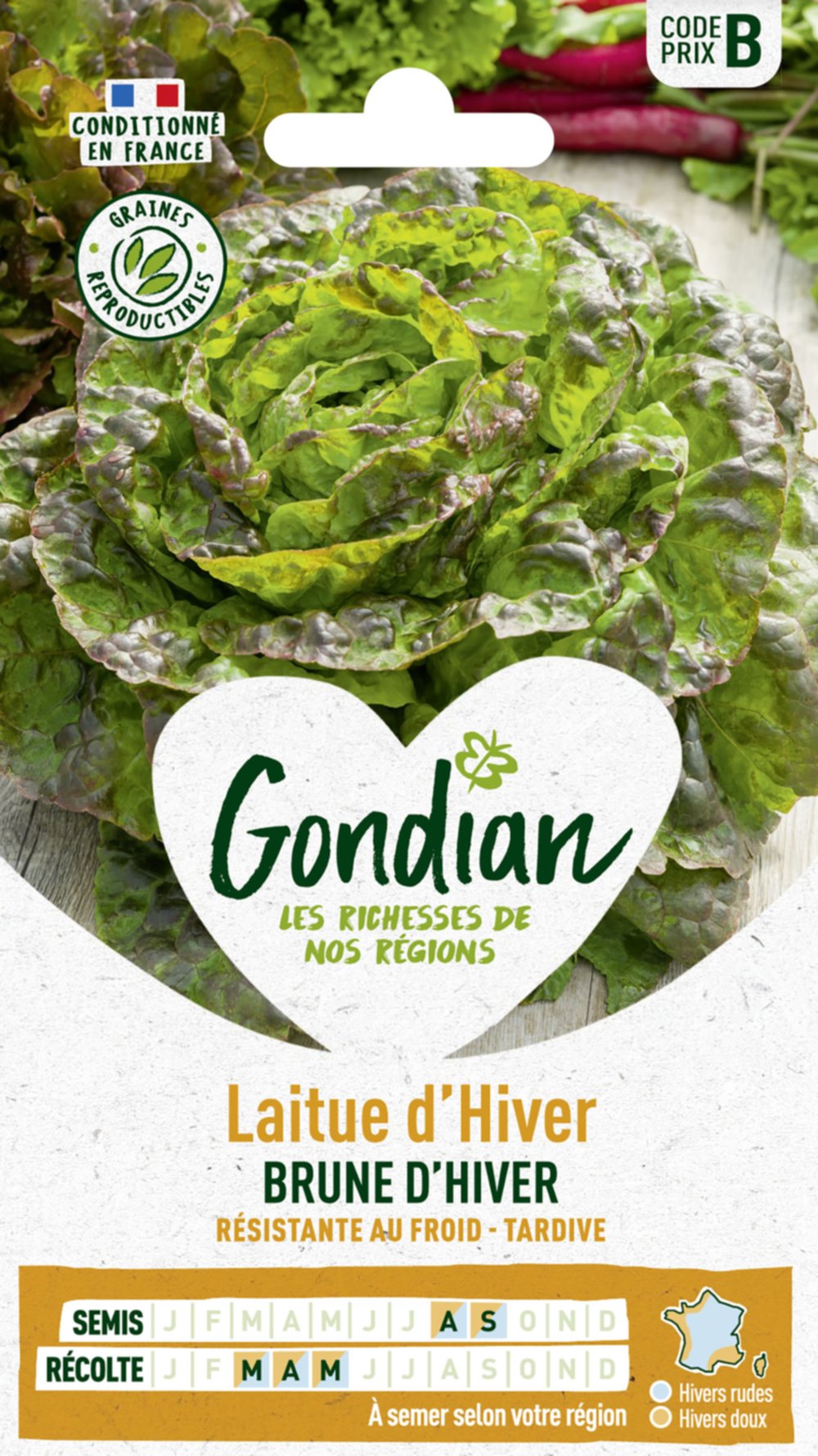 Laitue Brune d'Hiver - GONDIAN