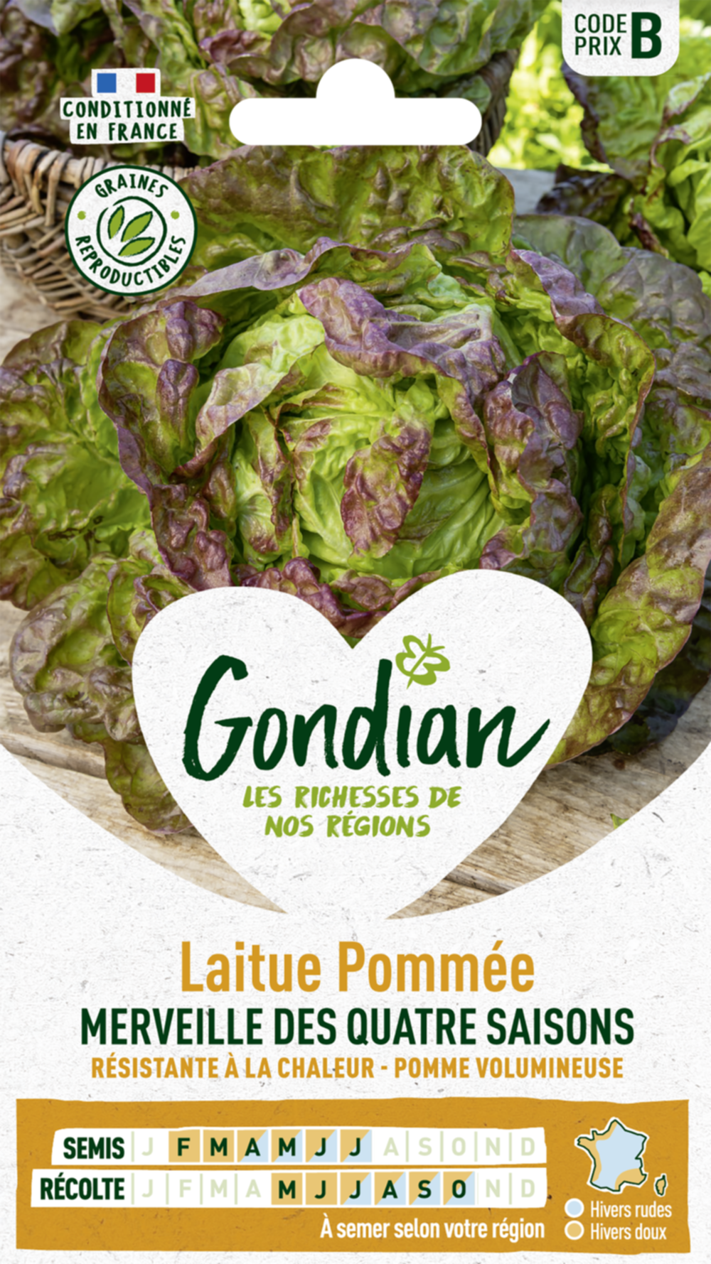 Laitue Merveille des Quatre Saisons - GONDIAN