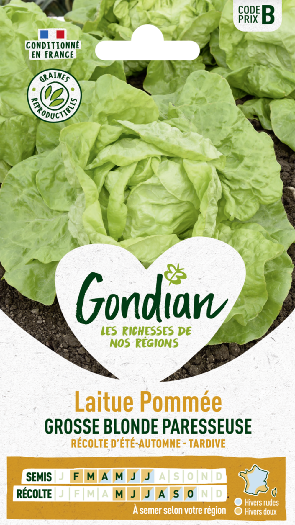 Laitue Grosse Blonde Paresseuse - GONDIAN