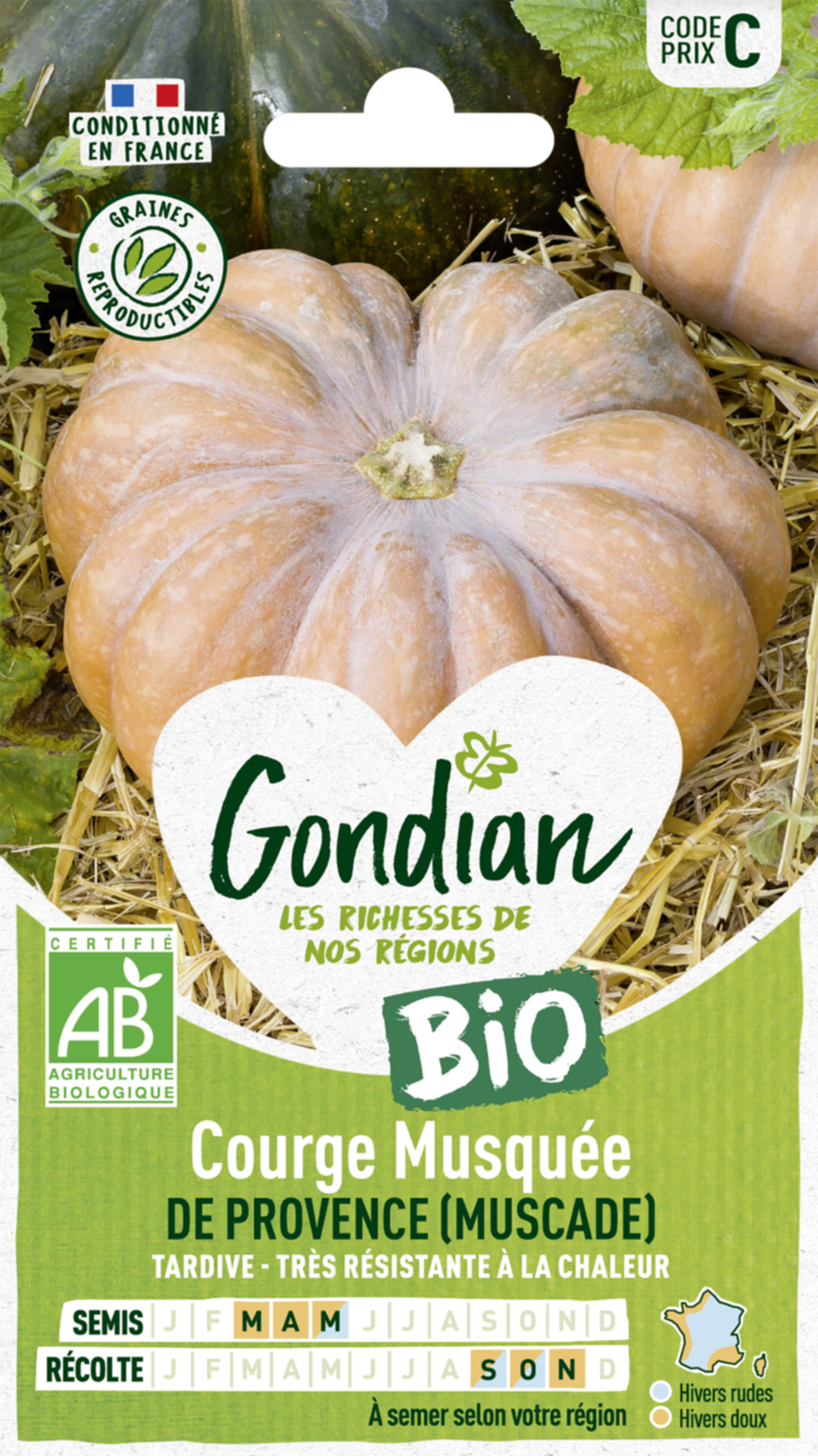 Courge Musquée Muscade (d'Hiver de Provence) Bio - GONDIAN