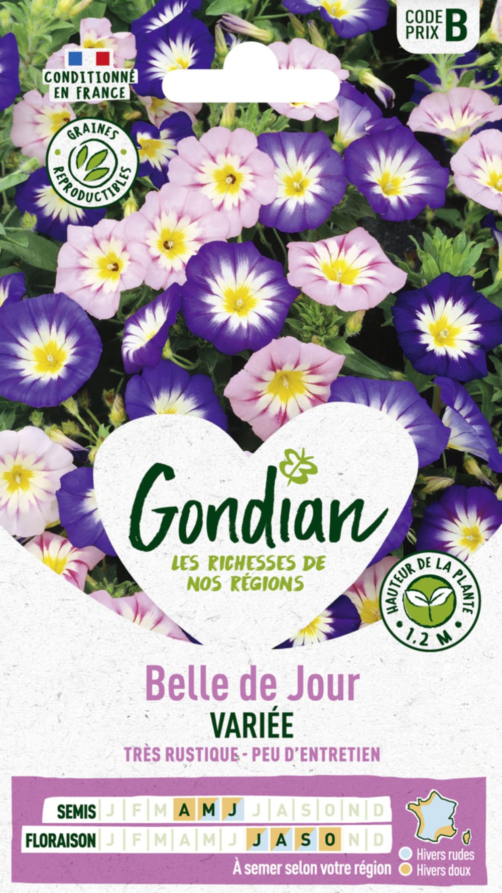 Belle de jour Variée - GONDIAN