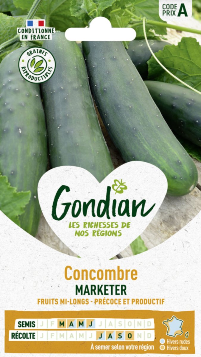Concombre Marketer - GONDIAN
