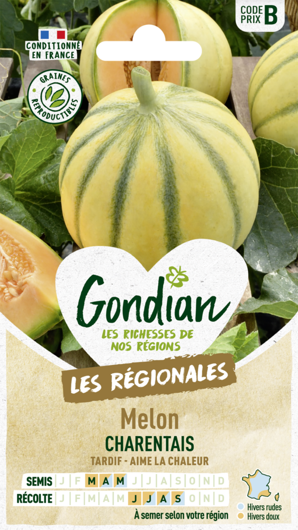 Melon Charentais - GONDIAN