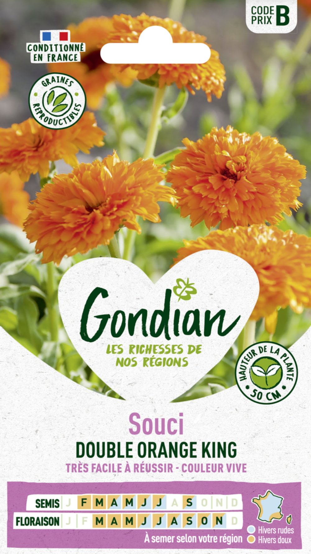 Souci Double Orange King - GONDIAN