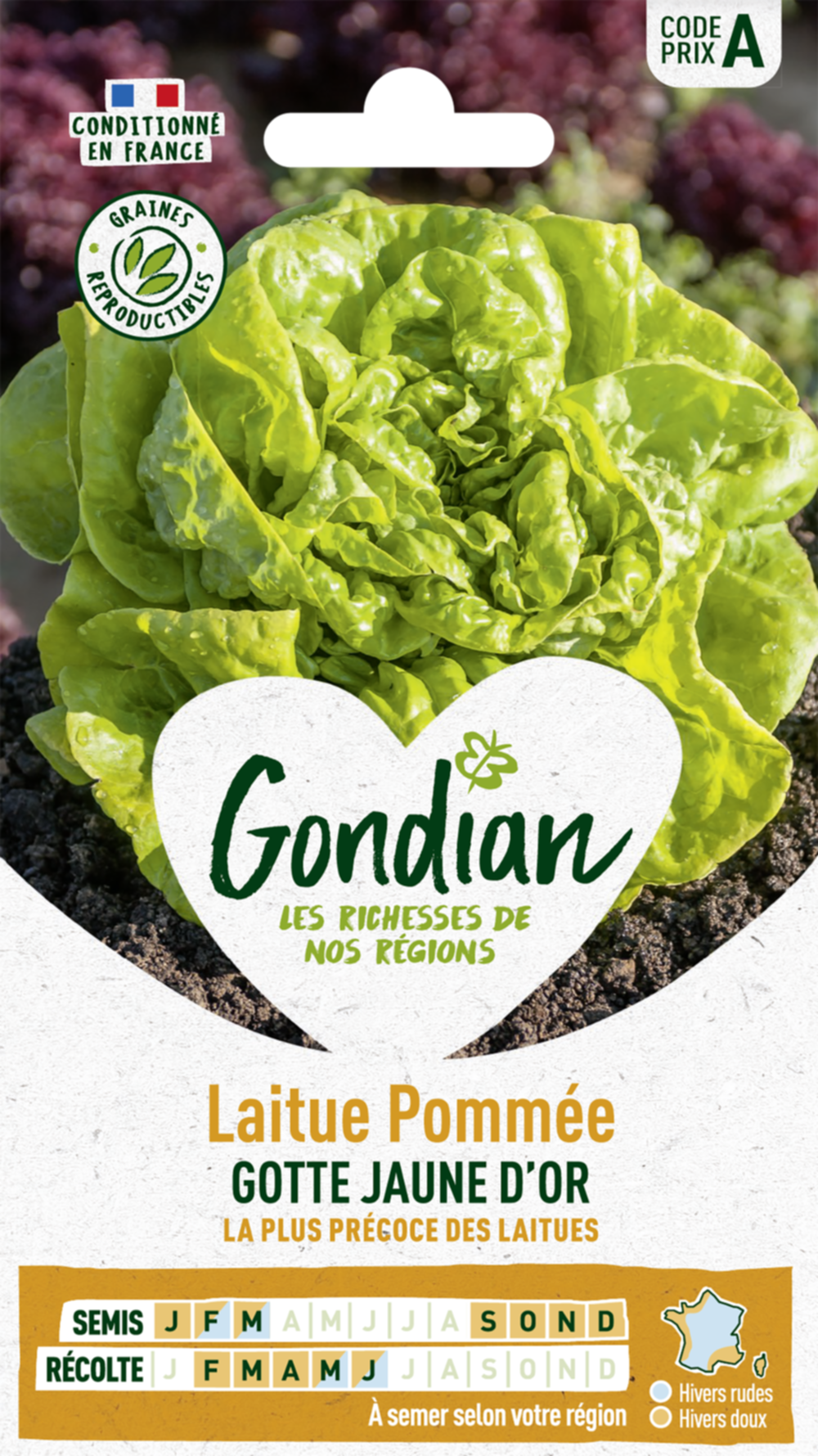 Laitue Gotte Jaune d'Or - GONDIAN