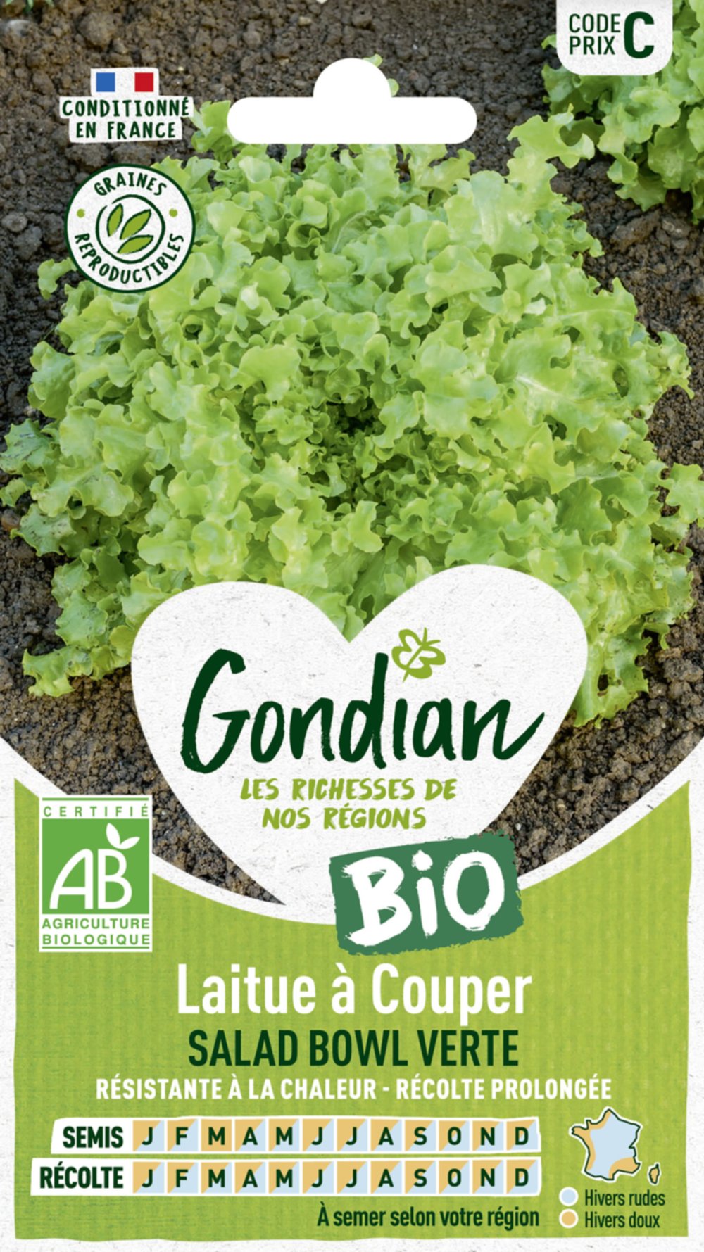 Laitue Salad Bowl Verte Bio - GONDIAN