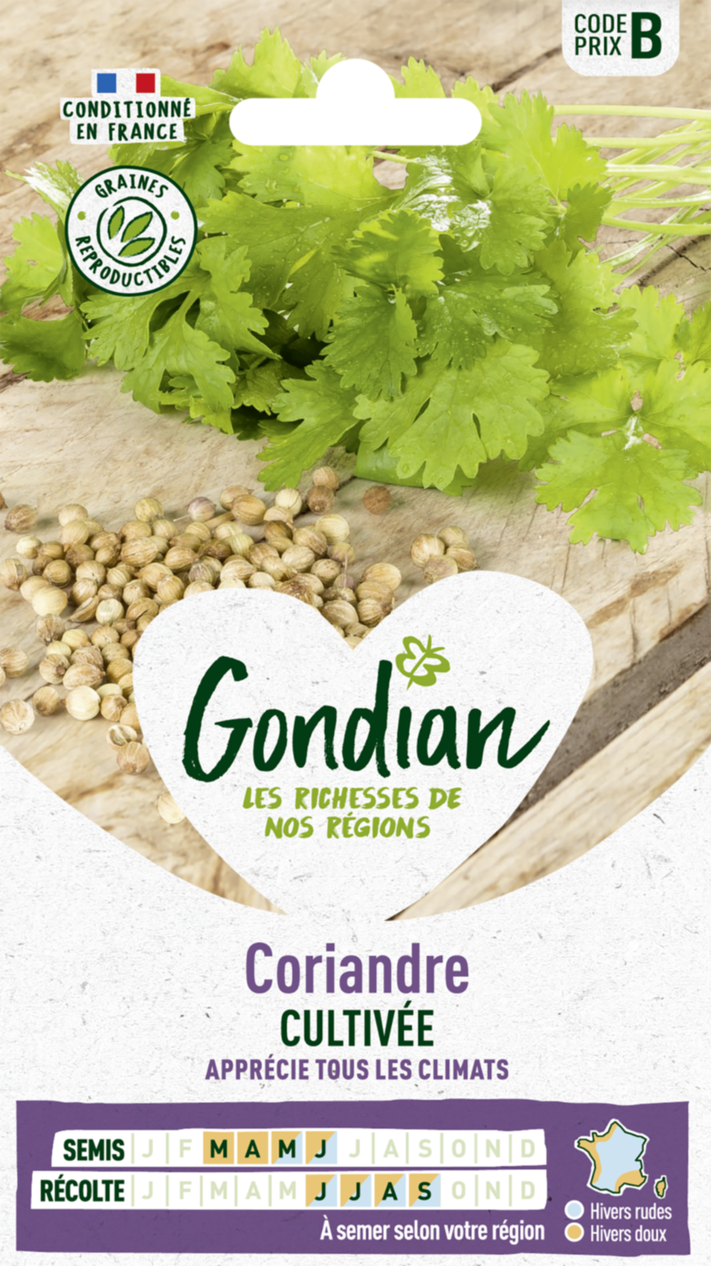 Coriandre Cultivée - GONDIAN