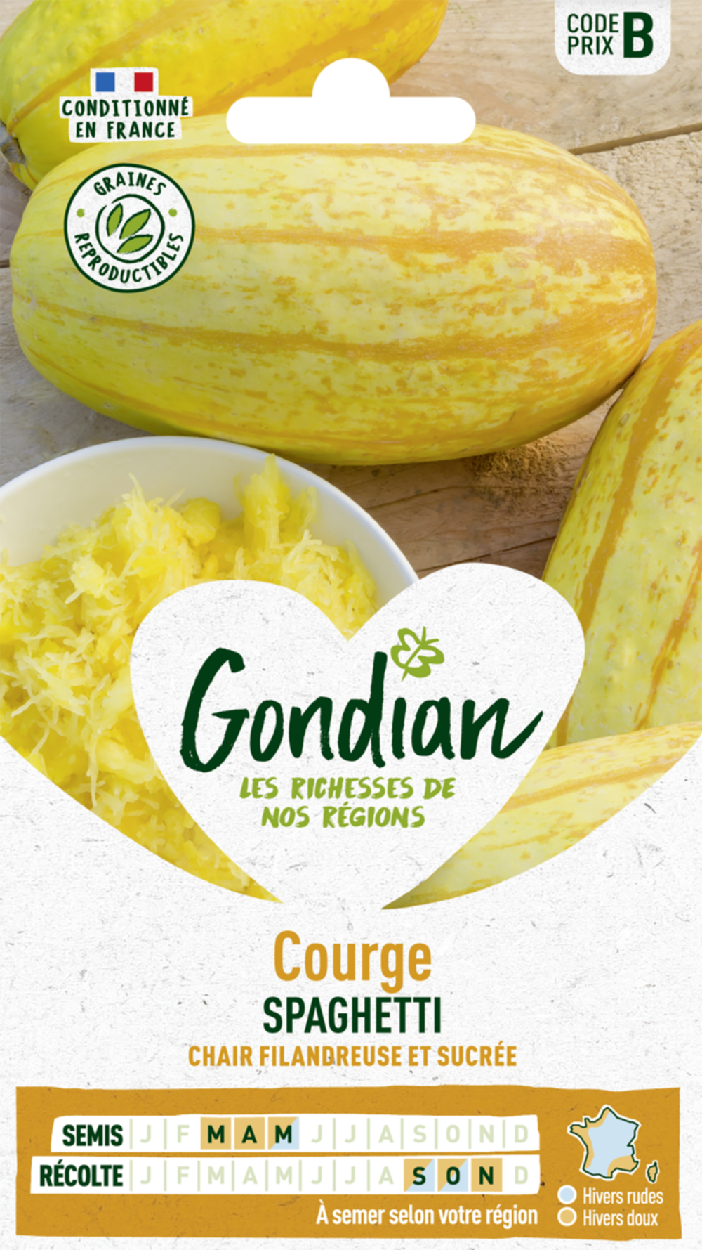 Courge Végétable Spaghetti - GONDIAN