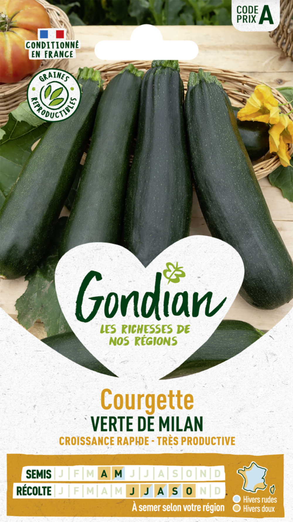 Courgette Black Beauty - GONDIAN