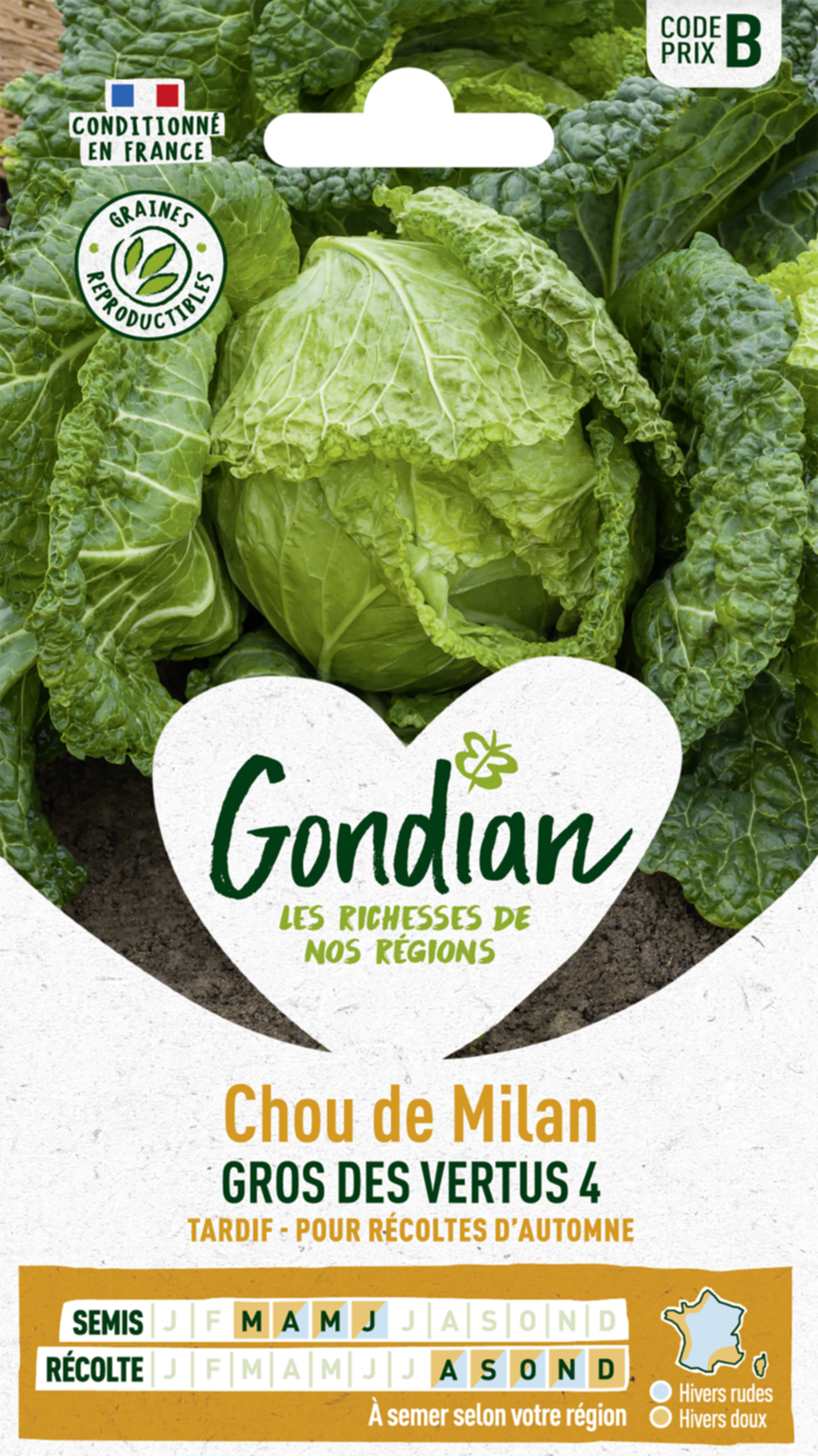 Chou de Milan Gros des Vertus 4 - GONDIAN