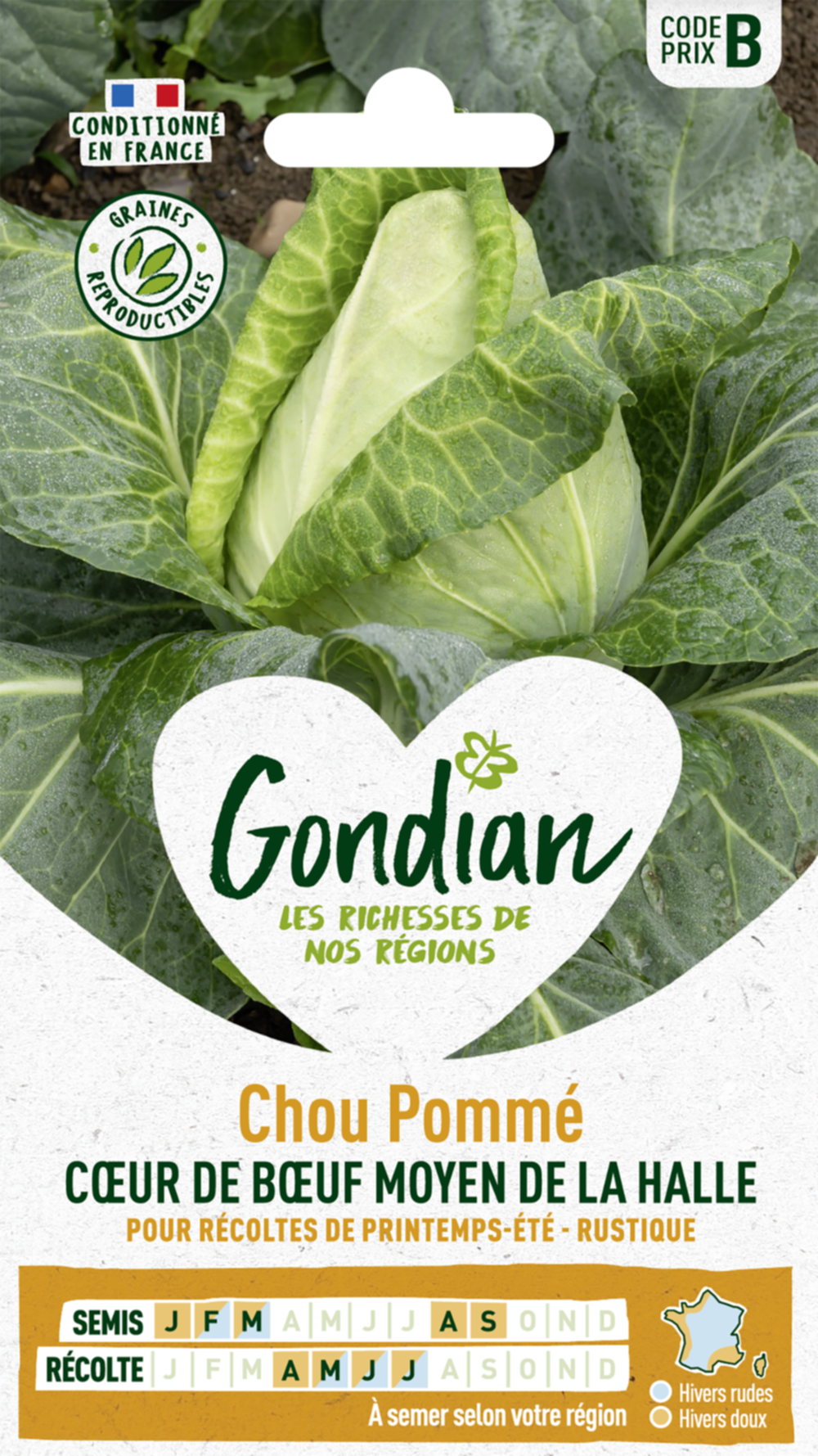 Chou Pommé Cœur de Bœuf Moyen de la Halle - GONDIAN