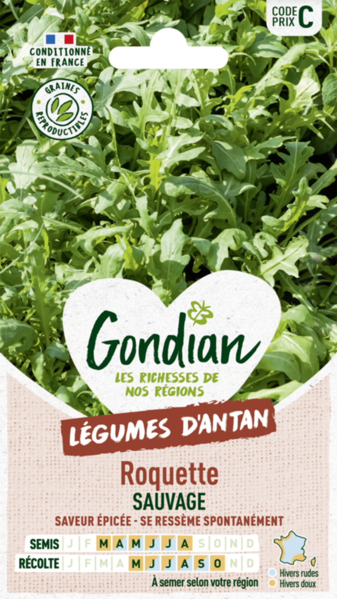 Roquette Sauvage - GONDIAN