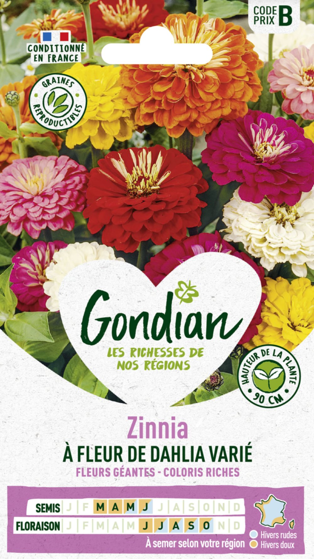 Zinnia à Fleur de Dahlia Ecarlate - GONDIAN